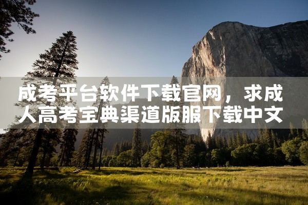 成考平台软件下载官网