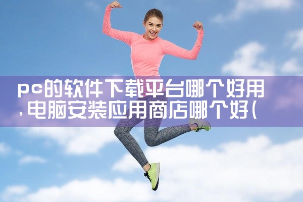 pc的软件下载平台哪个好用