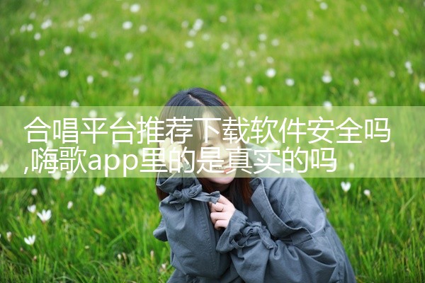 合唱平台推荐下载软件安全吗