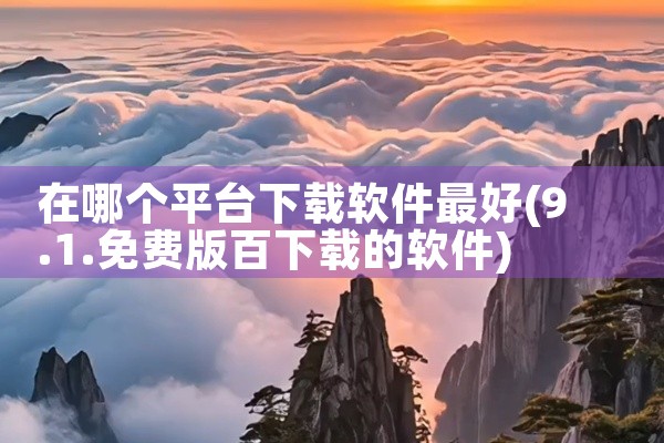在哪个平台下载软件最好
