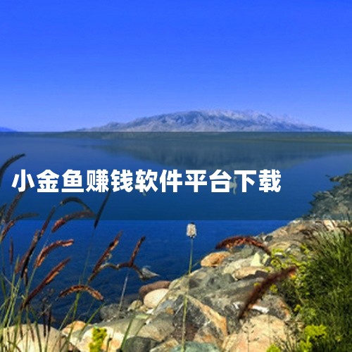 目前市面上存在一些养鱼赚钱的软件，如兼职养鱼赚钱、多多养鱼等，但需谨慎对待其真实性与可靠性。兼职养鱼赚钱开发商与运营商：由山西智能云科技有限公司开发运营。玩法与收益：将休闲养成与创收结合，用户拥有专属,