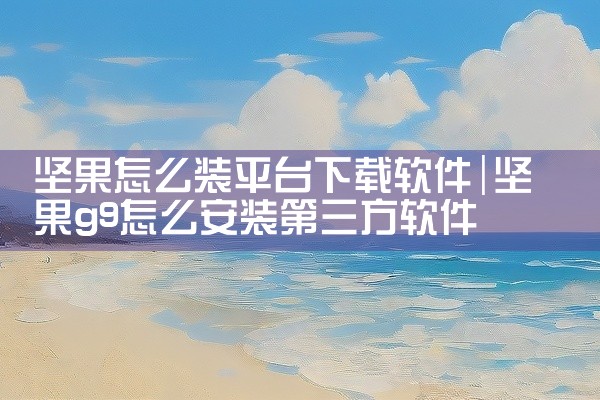坚果怎么装平台下载软件
