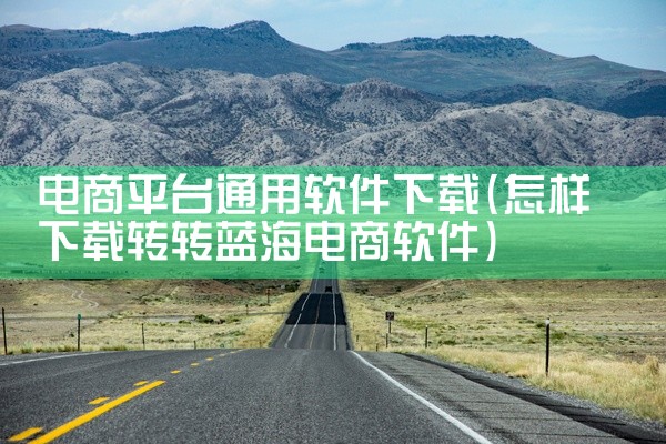 电商平台通用软件下载