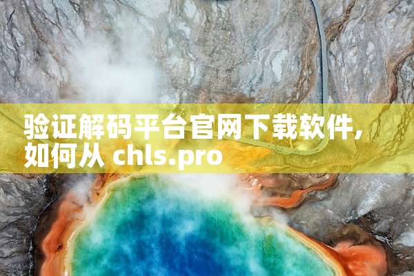 验证解码平台官网下载软件